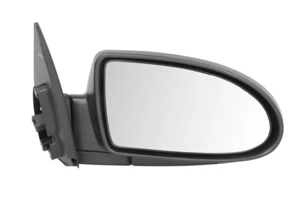 Exterior Mirror 5402-20-2001358P