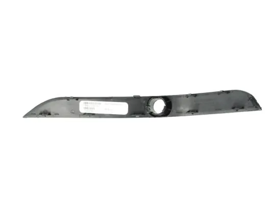 BLIC 5703-05-0095921P Trim/Protection Strip, bumper