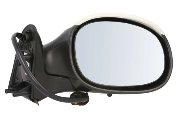 Exterior Mirror 5402-04-1112339P