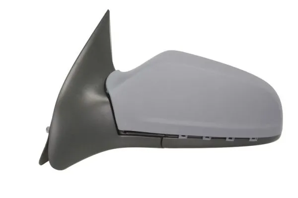 Exterior Mirror 5402-04-1129239P