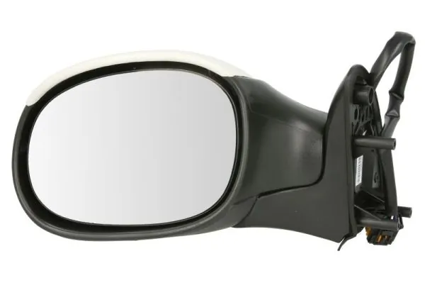 Exterior Mirror 5402-04-1111339P