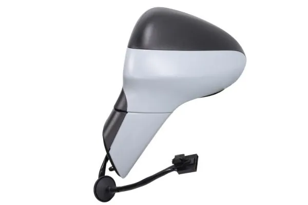 Exterior Mirror 5402-04-1103314P