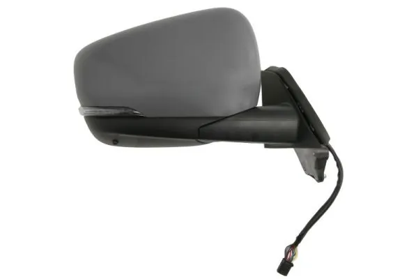 BLIC 5402-02-2435325P Exterior Mirror