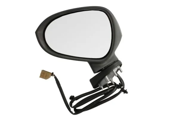Exterior Mirror 5402-10-2002277P