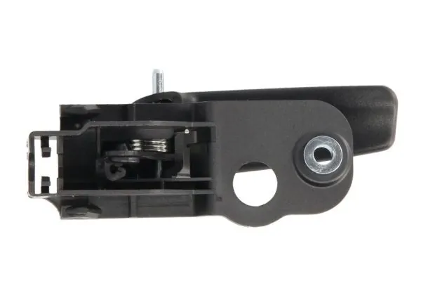 Türgriff, Innenausstattung 6010-07-043409TP