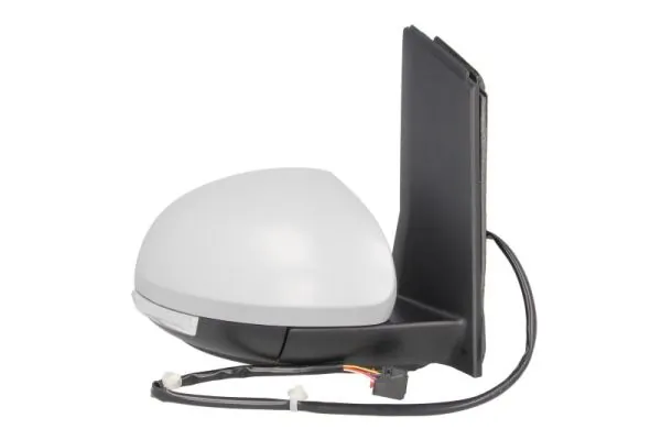 Exterior Mirror 5402-10-2002262P