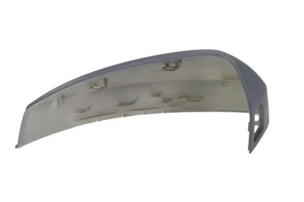 BLIC 6103-25-2001025P Housing, exterior mirror