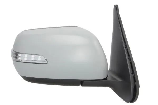 BLIC 5402-18-2002414P Exterior Mirror