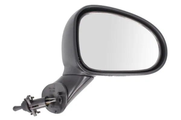 Exterior Mirror 5402-56-2001074P