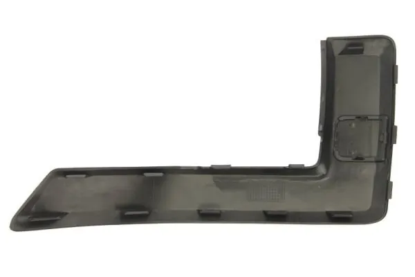 Trim/Protection Strip, bumper 5703-05-2576922P