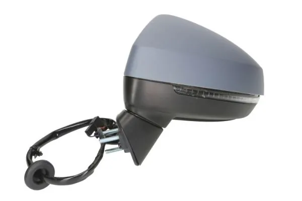 Exterior Mirror 5402-25-2001019P