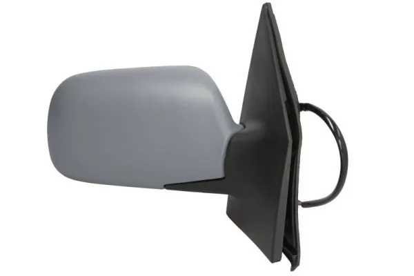 Exterior Mirror 5402-04-1129221P
