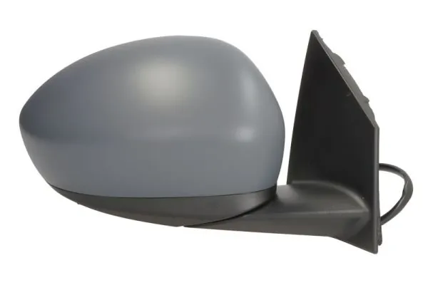 BLIC 5402-07-2590311P Exterior Mirror