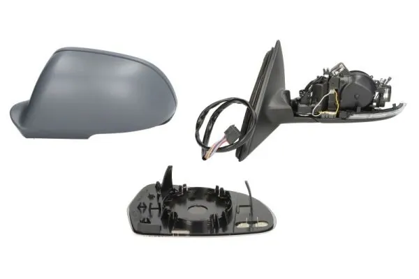 BLIC 5402-43-1318310P Exterior Mirror