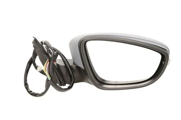 Exterior Mirror 5402-01-2002676P