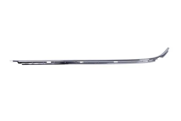 BLIC 5703-05-0061972P Trim/Protection Strip, bumper