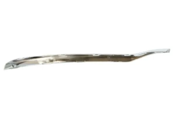 BLIC 5703-05-3529929P Trim/Protection Strip, bumper