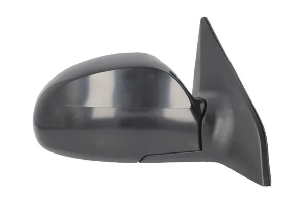 BLIC 5402-53-2001496P Exterior Mirror