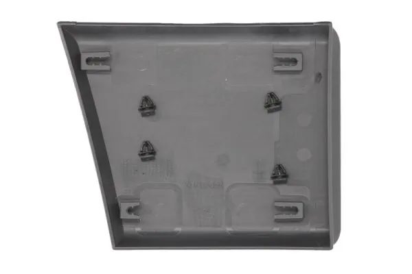 BLIC 5703-04-2097573P Trim/Protection Strip, quarter panel