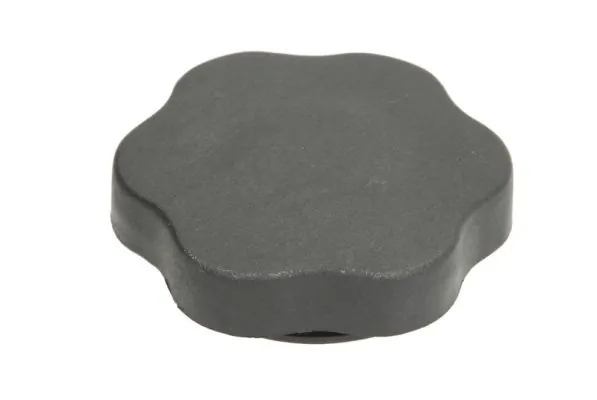 Sealing Cap, oil filler neck 6010-09-015456P