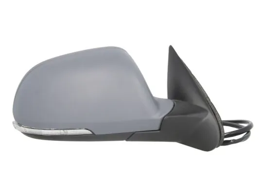 Exterior Mirror 5402-04-1111524P