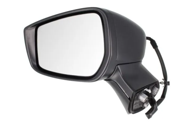 BLIC 5402-16-2001913P Exterior Mirror