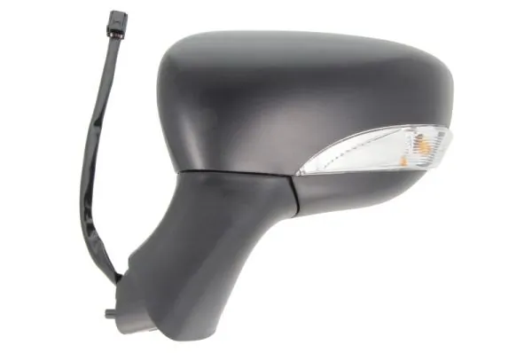 Exterior Mirror 5402-09-2002125P