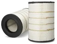 Air Filter AF25314
