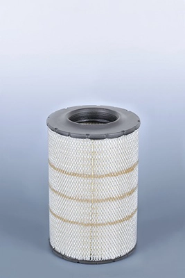 Air Filter AF25898