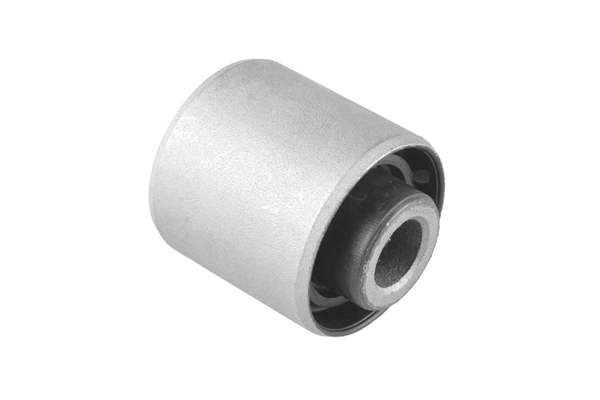 Mounting, control/trailing arm 00224453