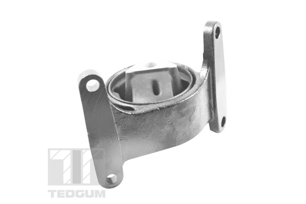 Mounting, engine TED37845