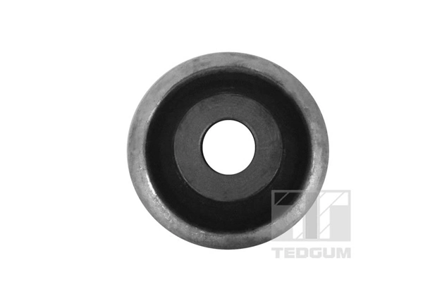 TEDGUM 00518660 Mounting, control/trailing arm