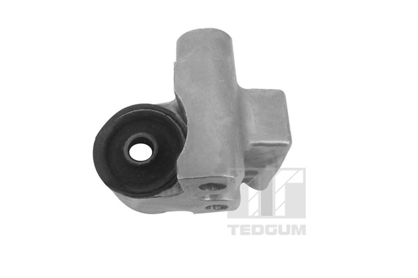 TEDGUM 00748913 Mounting, control/trailing arm