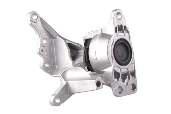 TEDGUM TED49780 Mounting, engine