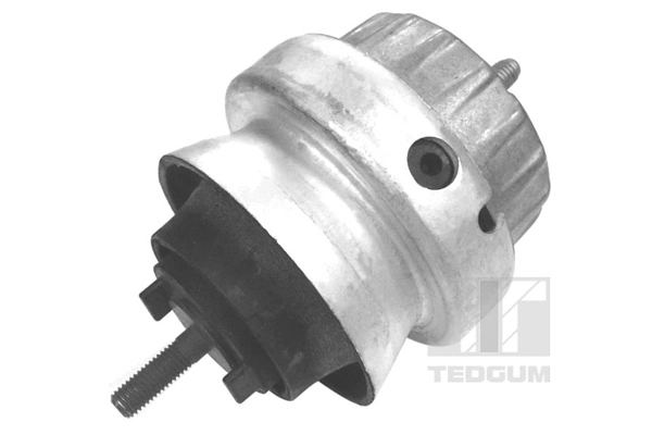 Mounting, engine 00056444