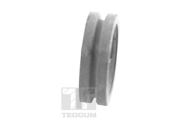 TEDGUM 00414977 Mounting, control/trailing arm