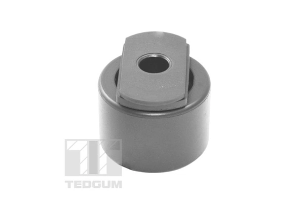 TEDGUM TED19271 Mounting, control/trailing arm
