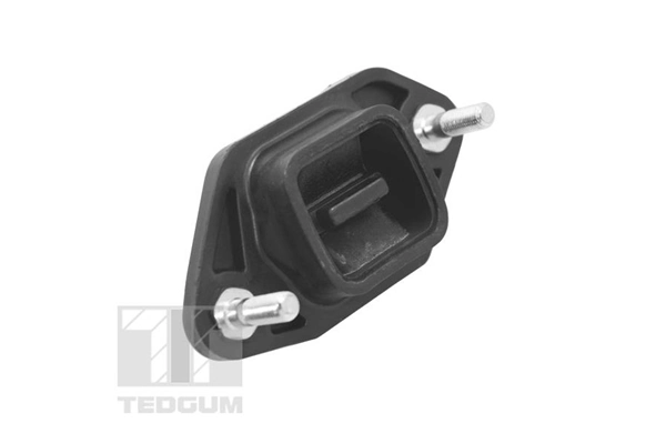 Mounting, engine TED14845