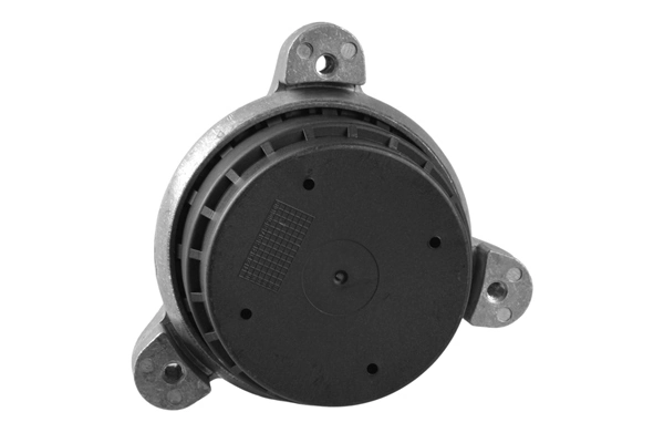 TEDGUM TED97784 Mounting, engine