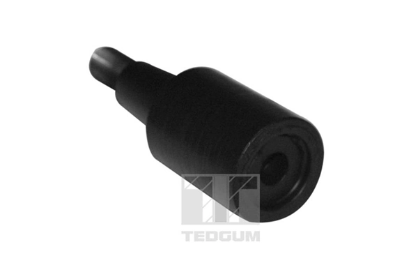 TEDGUM 00979621 Mounting, control/trailing arm