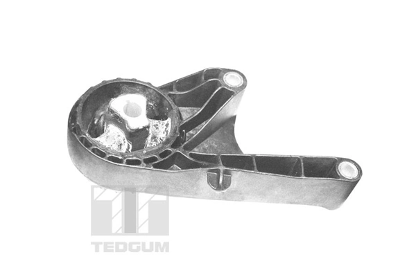 TEDGUM TED22755 Mounting, engine