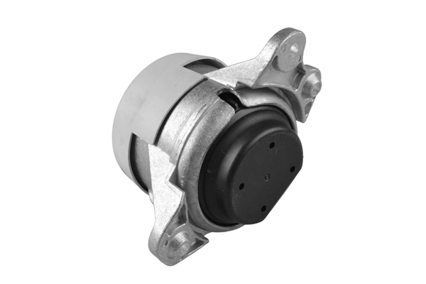 TEDGUM TED93160 Mounting, engine