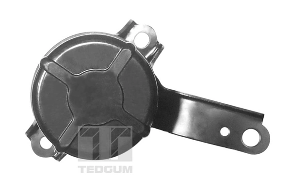 TEDGUM 00672451 Mounting, engine