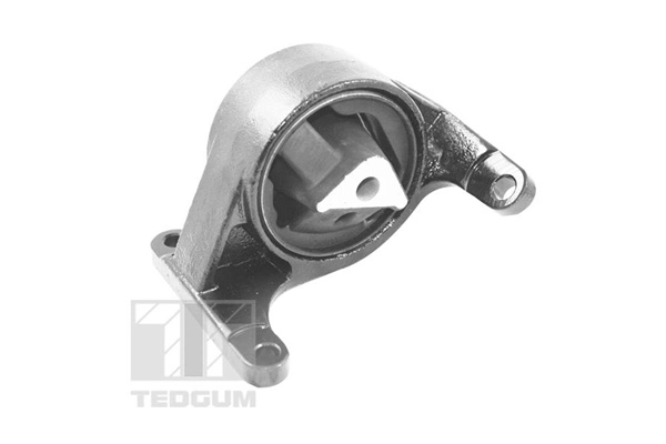 Mounting, engine TED37845
