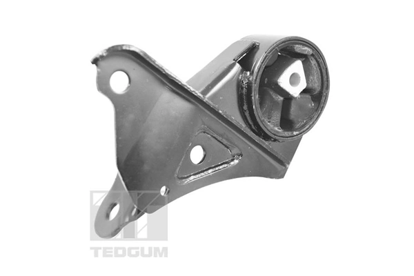 TEDGUM 00131530 Mounting, engine