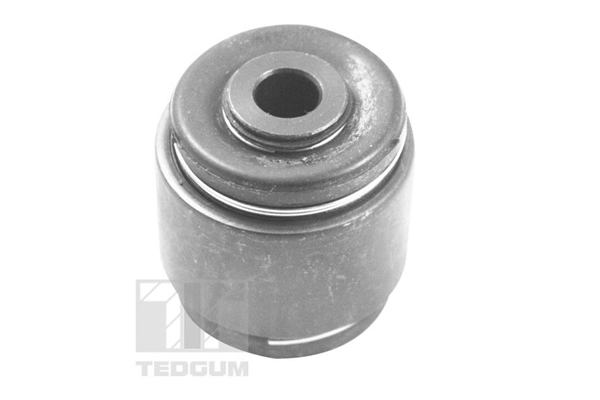 TEDGUM TED48244 Mounting, control/trailing arm