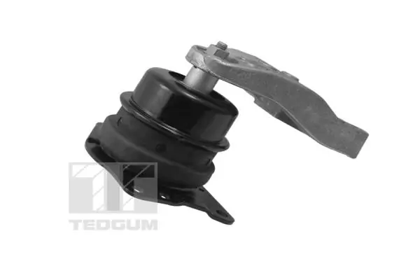 TEDGUM 00729405 Mounting, engine