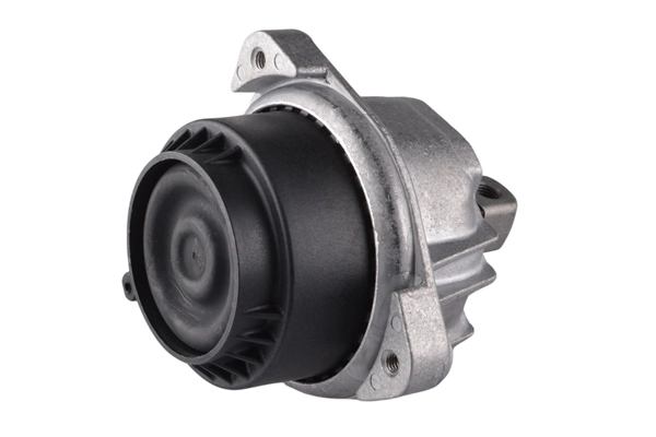 TEDGUM TED77889 Mounting, engine