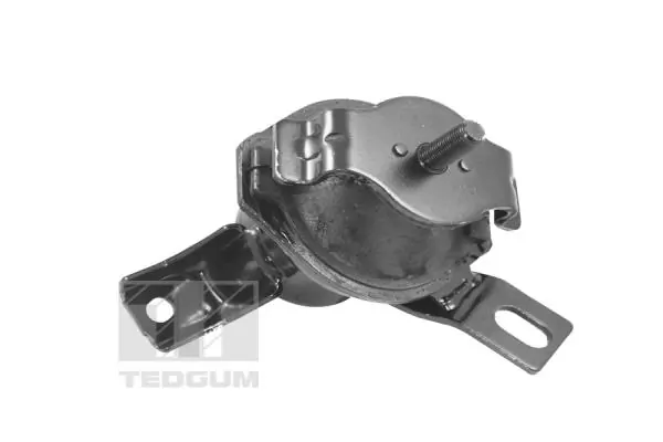 TEDGUM 00441120 Mounting, engine