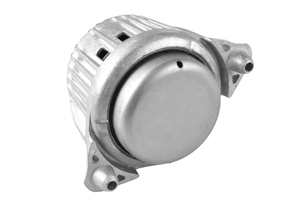 TEDGUM TED83830 Mounting, engine